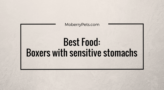 Best food for boxers with sensitive stomachs