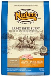 Best Puppy Food for German Shepherds