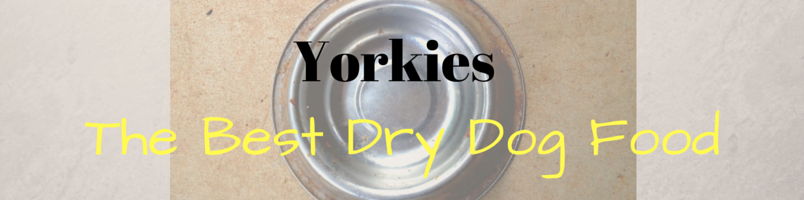 The Best Dry Dog Food for Yorkies