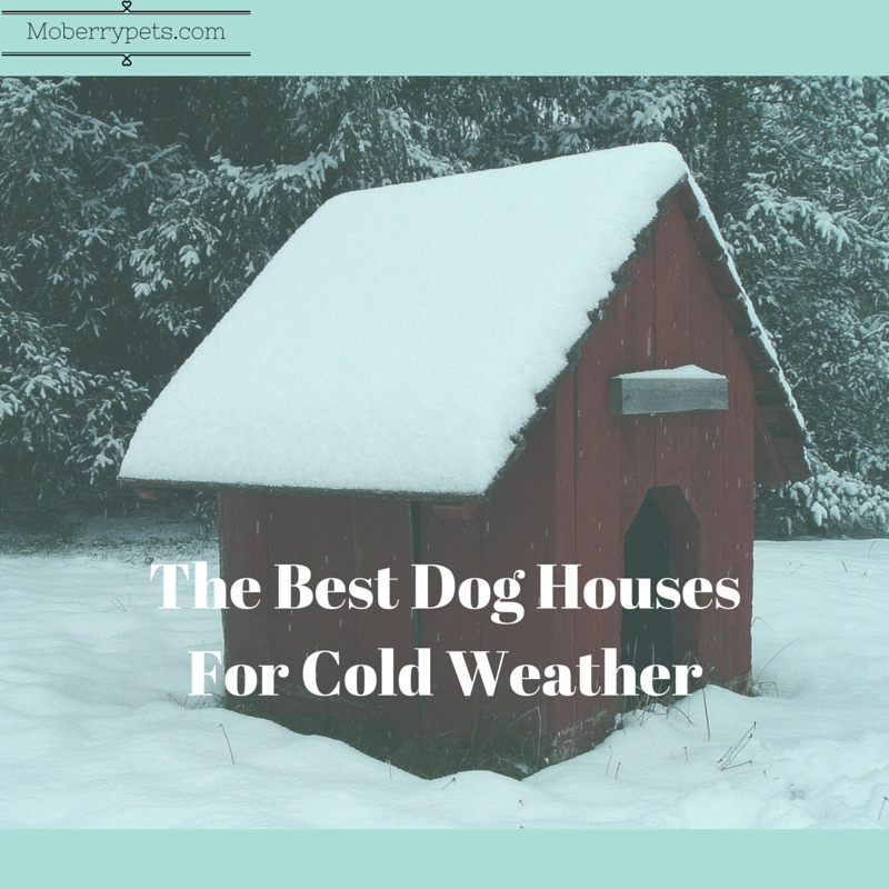 Best Dog Houses for Cold Weather