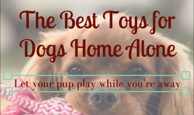 Best Toys for Puppies Home Alone